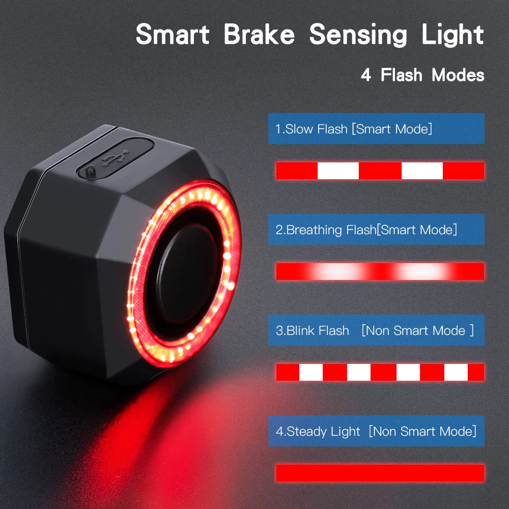 WSDCAM Smart Bike Light Alarm Taillight 110dB Remote