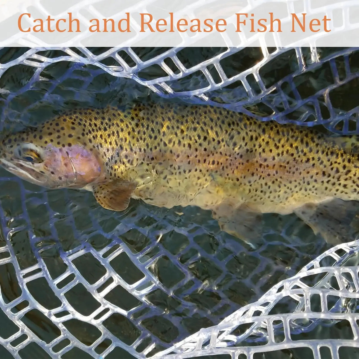 Wooden Fly Fishing Landing Net With Knotless Rubber Mesh